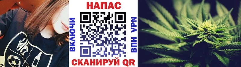 Купить наркоту Вышний Волочёк Псилоцибиновые грибы ГАШИШ Бошки Шишки Cocaine
