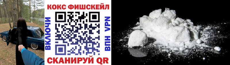 где продают наркотики  Вышний Волочёк  COCAIN Fish Scale 
