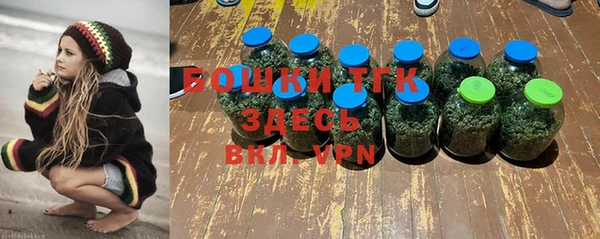 твердый Лиски